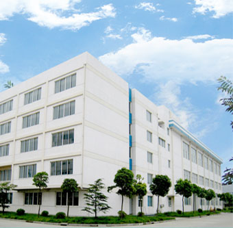 Borong Factory Building